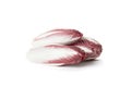 Radicchio Chicory