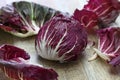 Radicchio chioggia, italian vegetable