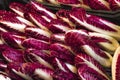 Radicchio on Display at an Italian Market