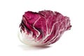 Radicchio