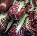 The radicchio plant, the scientific name Chicorium Intybus, belongs to the Composite family, a group of chicory. To the group of r