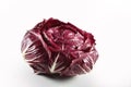 Radicchio red Chioggia