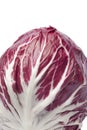 Radicchio rosso close up Royalty Free Stock Photo