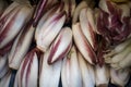 Radicchio rosso di Treviso, commonly known as Treviso Royalty Free Stock Photo