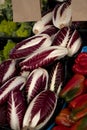 Radicchio rosso di Treviso, commonly known as Treviso has elongated, variegated red leaves Royalty Free Stock Photo