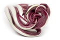 Radicchio Rosso di Treviso Royalty Free Stock Photo