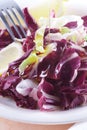 Radicchio Salad Royalty Free Stock Photo