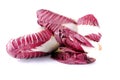 Radicchio salad Royalty Free Stock Photo