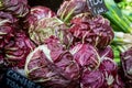 A Display of Radicchio