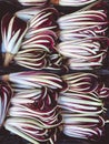 Radicchio tardivo, italian red chicory, red salad healthy vegetables on the market