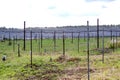 Radio astronomy antenna in Pushchino Royalty Free Stock Photo