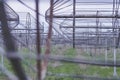 Radio astronomy observatory radio telescope construction in the fields in early spring in cloudy weather