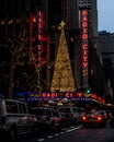 Radio City Music Hall neon sign Royalty Free Stock Photo