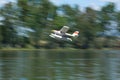 Radio controlled hydroplane taking off Royalty Free Stock Photo