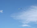 Radio controlled model airplane spiraling towards ground on blue sky. Aviation, airplanes, aerobatics and competition concepts