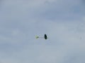 Radio controlled model airplane spiraling towards ground on blue sky. Aviation, airplanes, aerobatics and competition concepts