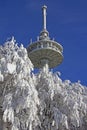 Radio mast in winter Royalty Free Stock Photo