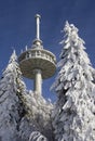 Radio mast in winter Royalty Free Stock Photo