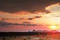 Radio telescopes at sunset