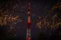 Radio and television tower in the dark behind the pines. Communication tower at night Royalty Free Stock Photo