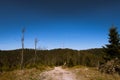 Radio tower, transmitter placed on a mountain peak surrounded by forest with beautiful sky