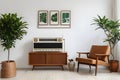 Radio on white cupboard between ficus tree and wooden armchair against white wall with gallery in retro living room interior Royalty Free Stock Photo