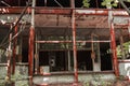 A radioactive abandoned  shop overgrown with trees in the city of Pripyat Royalty Free Stock Photo