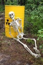 Radioactive waste and skeleton