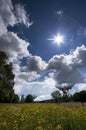 Radiotelescope at Westerbork Royalty Free Stock Photo