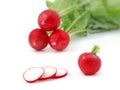 Radish