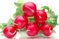 Radish