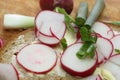 Radish bread Royalty Free Stock Photo