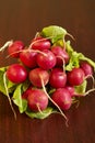 Radish bunch Royalty Free Stock Photo