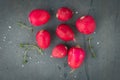 Radish bunch on rustic cement background. Copy space. Top view Royalty Free Stock Photo