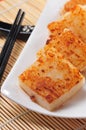 Radish Cake