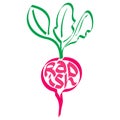 Radish calligraphy, typography. Vegetable typography.