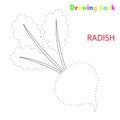 Radish coloring and drawing book vegetable design illustration
