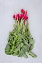 Radish on a concrete background/washedup garden radish on a concrete background, top view