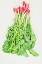 radish on a concrete background/washedup garden radish on a white background, top view