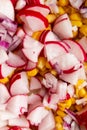 Radish and corn salad close Vegan Vegetable Dish