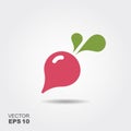 Radish flat icon vector, colorful logo illustration isolated on white