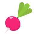 Radish flat icon, vegetable and diet