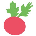 Radish flat illustration on white