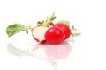 Radish Royalty Free Stock Photo