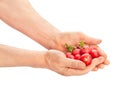 radish in hand path isolated Royalty Free Stock Photo