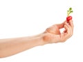 radish in hand Royalty Free Stock Photo