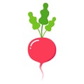 Radish icon in flat style. Isolated object, logo. Vegetable from the farm