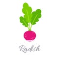 Radish icon with title