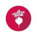 Radish icon vector. illustration of radish isolated for web or mobile application Royalty Free Stock Photo