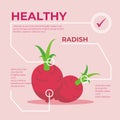 Radish infographic vector Design, fresh vegetable